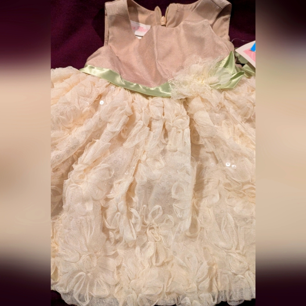 Baby Girl's Dress 6-9 Months NWT
